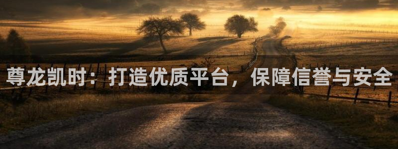 尊龙时凯官网：尊龙凯时：打造优质平台，保障信誉与安全