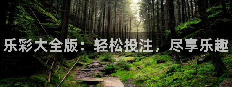 尊龙时凯现在优惠多少：乐彩大全版：轻松投注，尽享乐趣