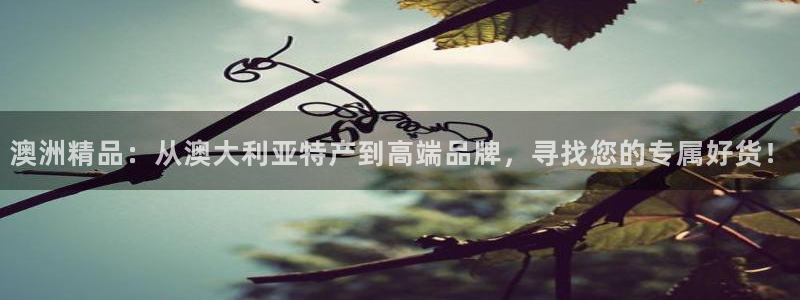 尊龙时凯3代理：澳洲精品：从澳大利亚特产到高端品牌，寻找您的专属好货！