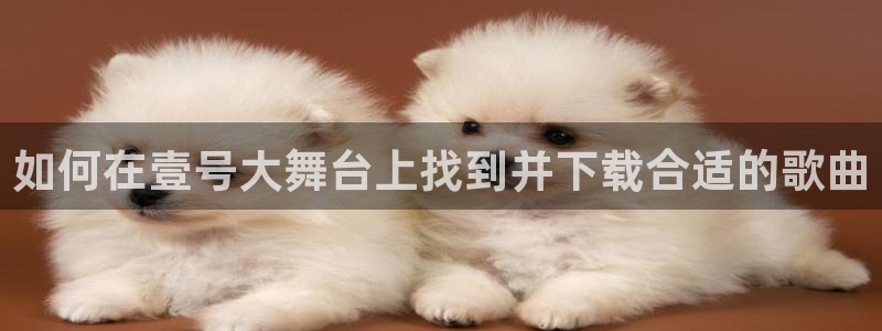 尊龙时凯4开户：如何在壹号大舞台上找到并下载合适的歌曲